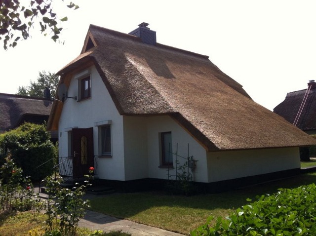 Haus