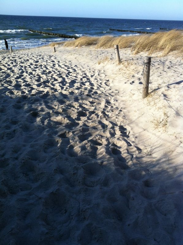 Strand