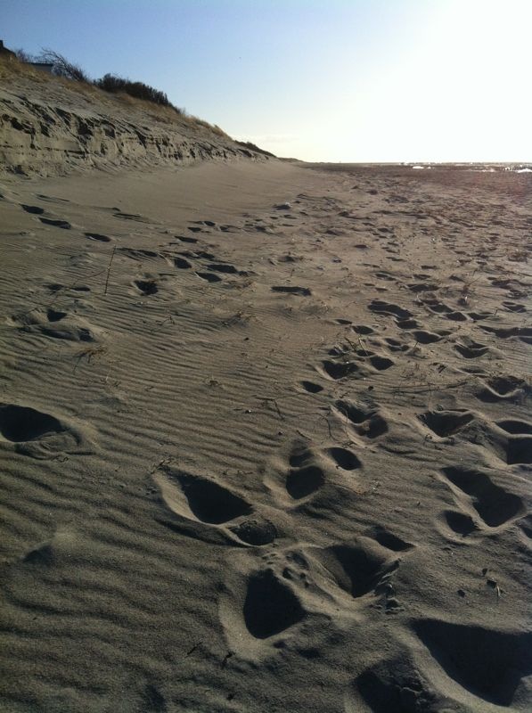 Strand