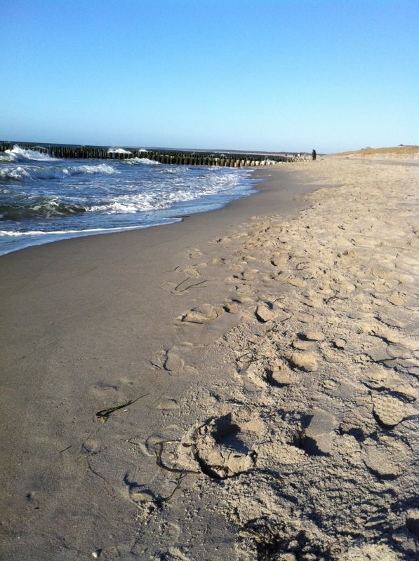 Strand